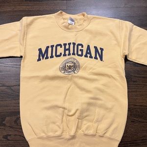 University of Michigan sweatshirt
